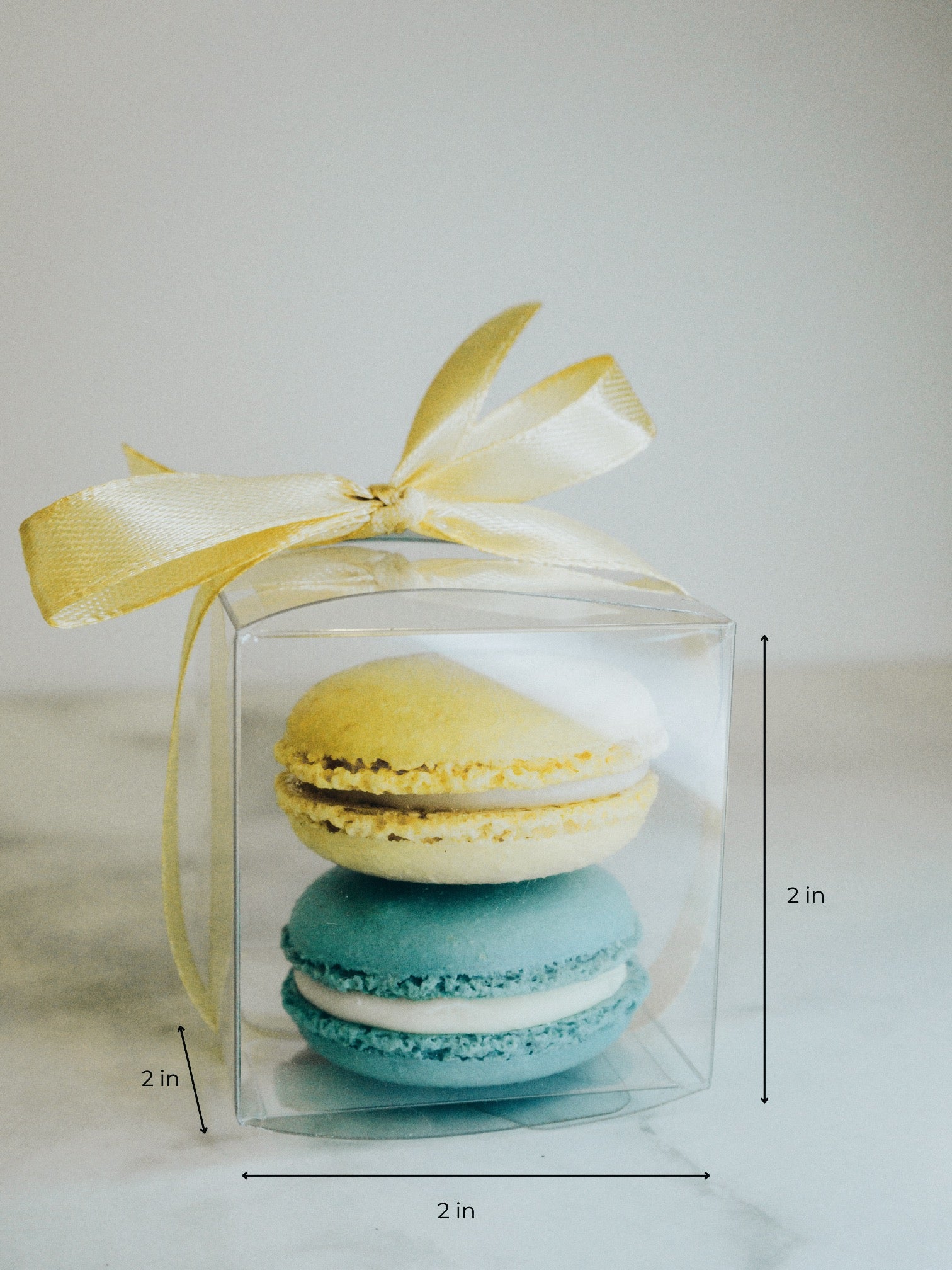 Macaron Party Favors
