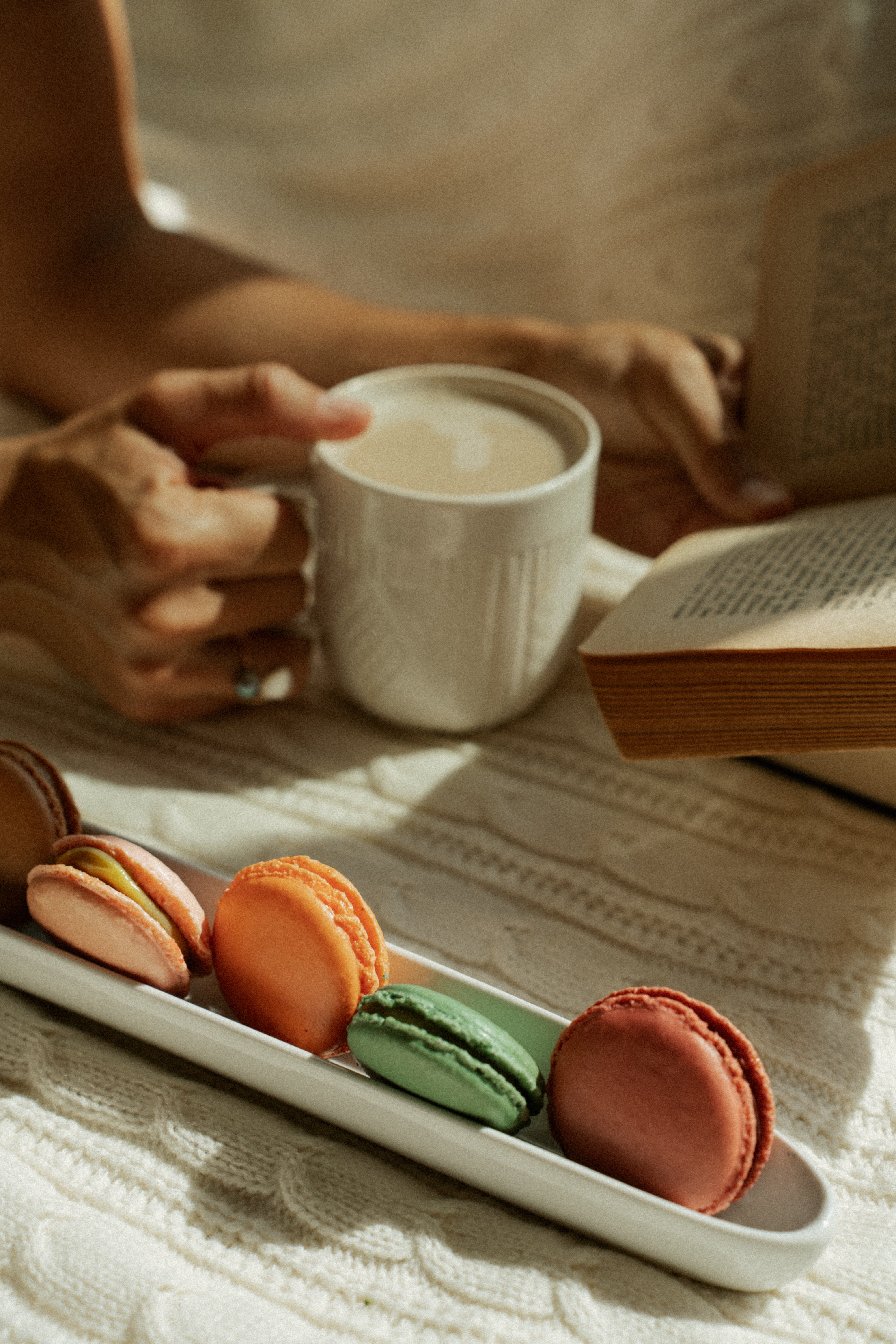 Fall Mini Macaron Collection