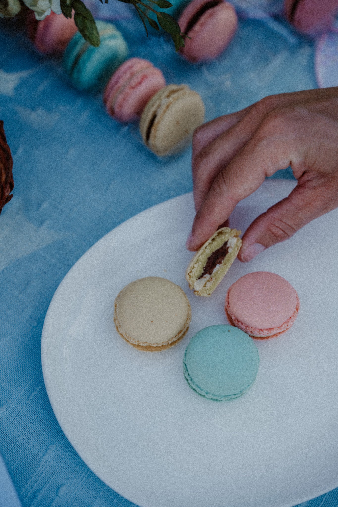 Box Of Macarons: Easter Collection